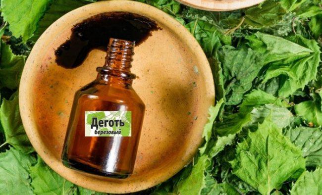 น้ำมันเบิร์ชในสวนเพื่อควบคุมศัตรูพืช