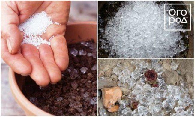 hydrogel pour plantes