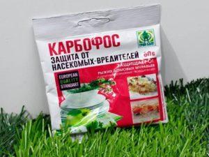 คำแนะนำสำหรับการใช้และส่วนประกอบของ Karbofos ปริมาณยาและสารอะนาล็อก