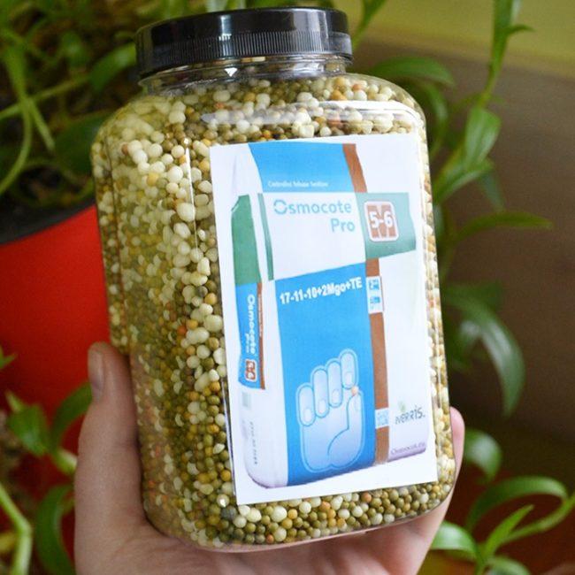 ออสโมโค้ท