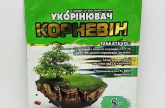 คำแนะนำในการใช้คอร์เนวิน