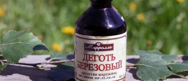 น้ำมันเบิร์ชในสวนเพื่อควบคุมศัตรูพืช