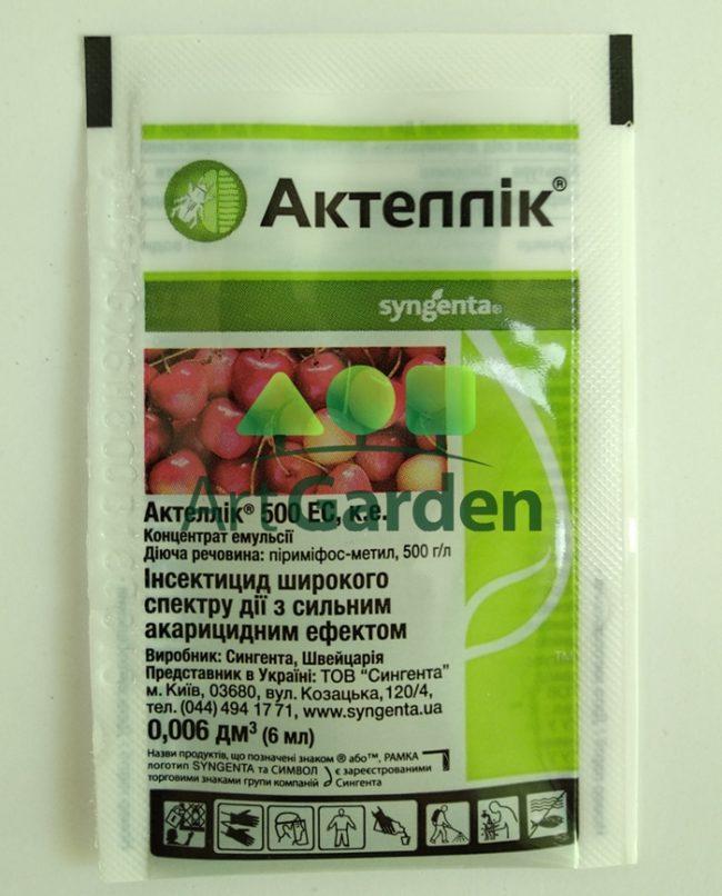 แอคเทลลิค