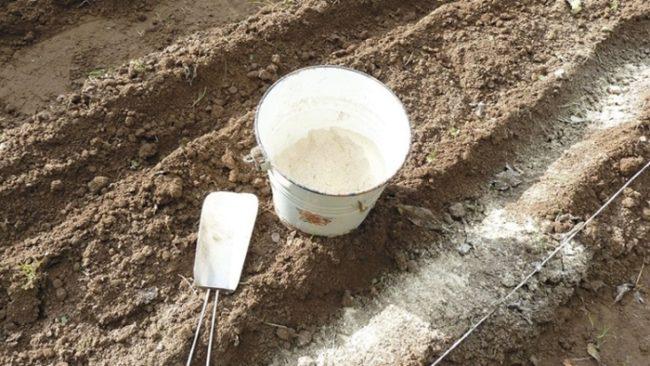 การใส่ปูนขาวในดิน