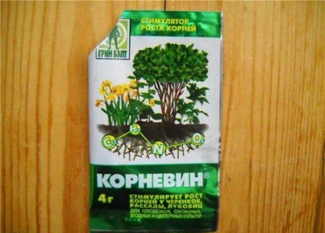 คำแนะนำในการใช้คอร์เนวิน