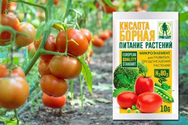 กรดบอริก