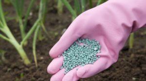 ชนิดและชื่อของปุ๋ยไนโตรเจน ความสำคัญและการใช้ในบ้าน