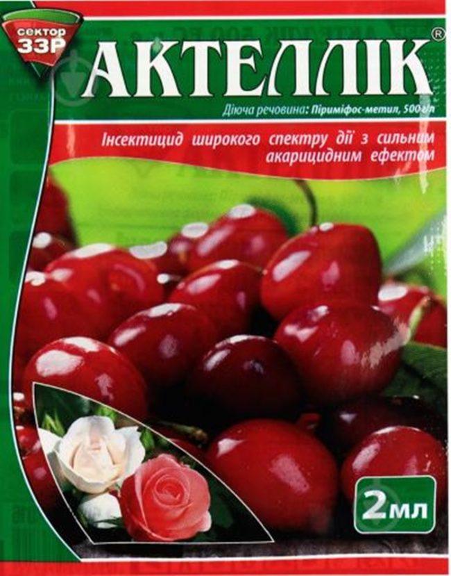 แอคเทลลิค