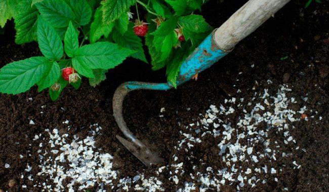 ปุ๋ยไนโตรเจน