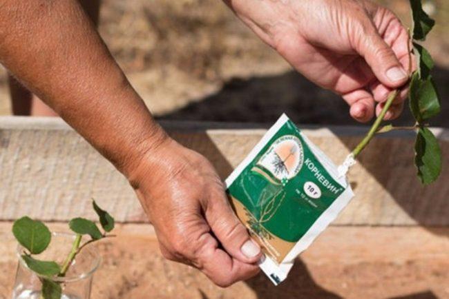 คำแนะนำในการใช้คอร์เนวิน