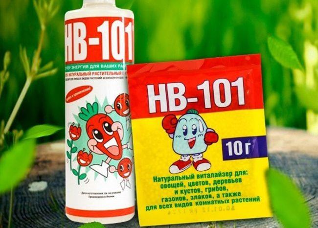 เอ็นวี 101