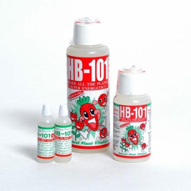 เอ็นวี 101