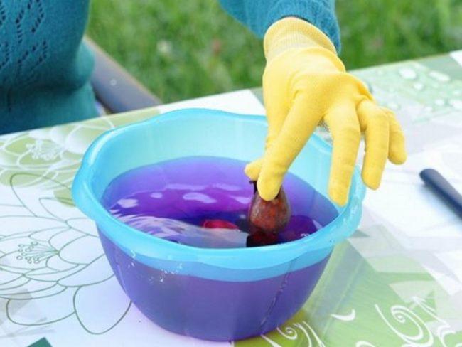 โพแทสเซียมเปอร์แมงกาเนตสำหรับสวน