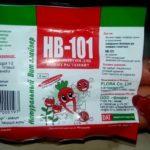 เอ็นวี 101