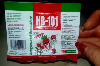 เอ็นวี 101