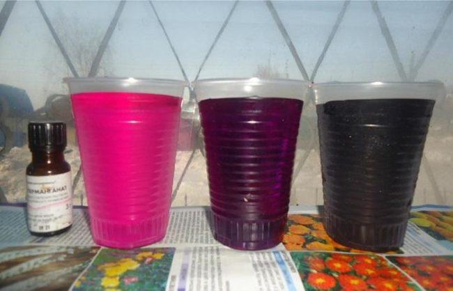 โพแทสเซียมเปอร์แมงกาเนตสำหรับสวน