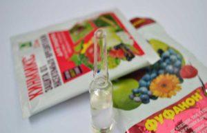 ประเภทของยาฆ่าแมลง หลักการออกฤทธิ์ของการเตรียมและกฎการแปรรูป