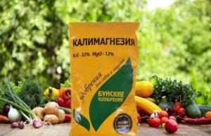 ส่วนประกอบของ Kalimagneziya และคำแนะนำในการใช้ปุ๋ยและสารคล้ายปุ๋ย
