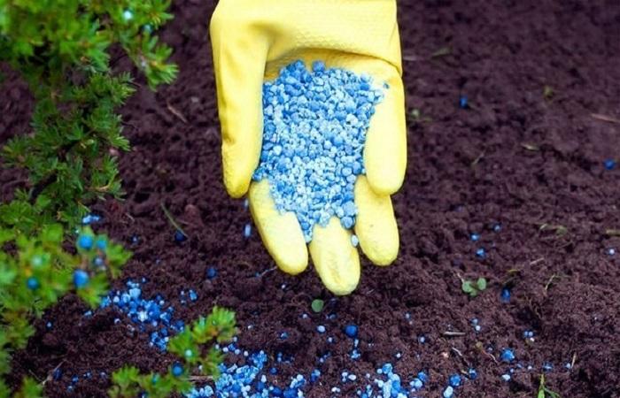 เม็ดซัลเฟต