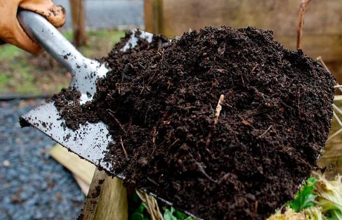 พลั่วใส่ปุ๋ย