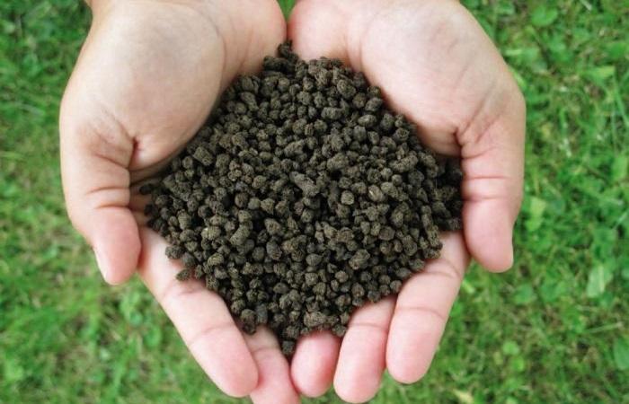 เม็ดของสาร