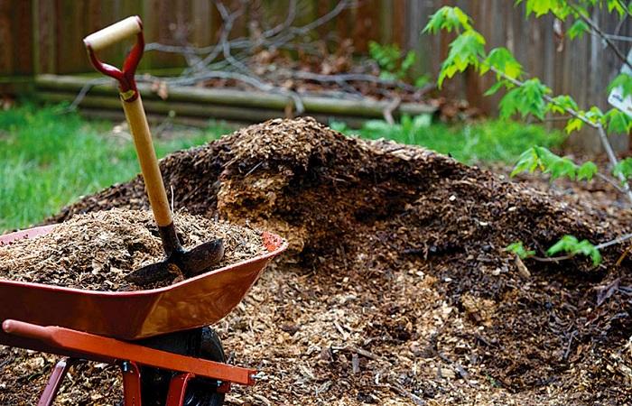 พลั่วในรถเข็น