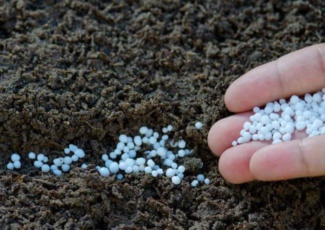 แอมโมเนียมไนเตรต