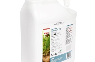 สารฆ่าเชื้อราชั้นยอด