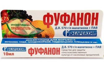 ฟูฟานอน