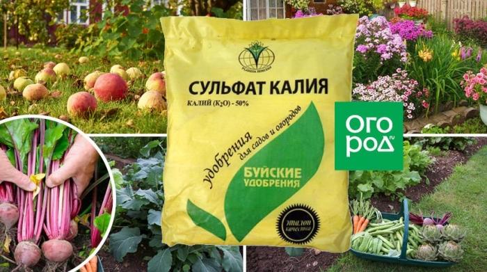 โพแทสเซียมซัลเฟต