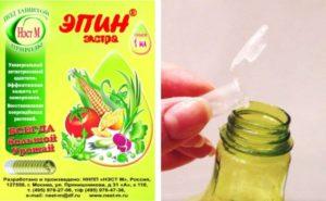 คำแนะนำการใช้เอพินสำหรับพืช ส่วนประกอบและวัตถุประสงค์ของปุ๋ย