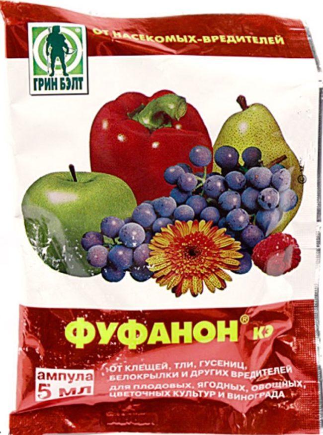 ฟูฟานอน