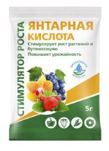 ข้อบ่งชี้และคำแนะนำในการใช้กรดซัคซินิกสำหรับพืช