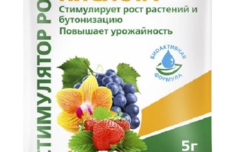 กรดซัคซินิกสำหรับพืช