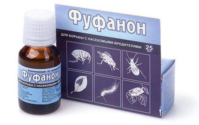 ฟูฟานอน