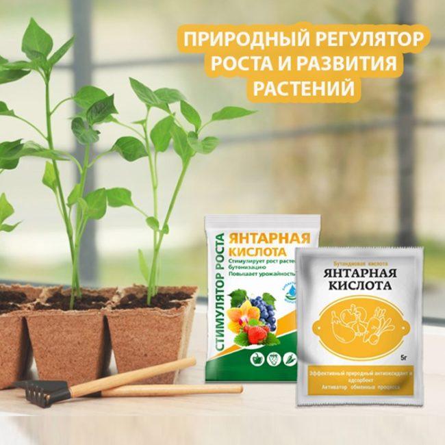 กรดซัคซินิกสำหรับพืช