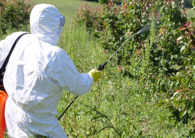 การบำบัดด้วยสารฆ่าเชื้อรา