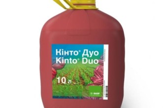 คินโตดูโอ