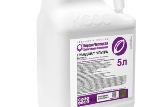 แกรนด์ซีล อัลตร้า