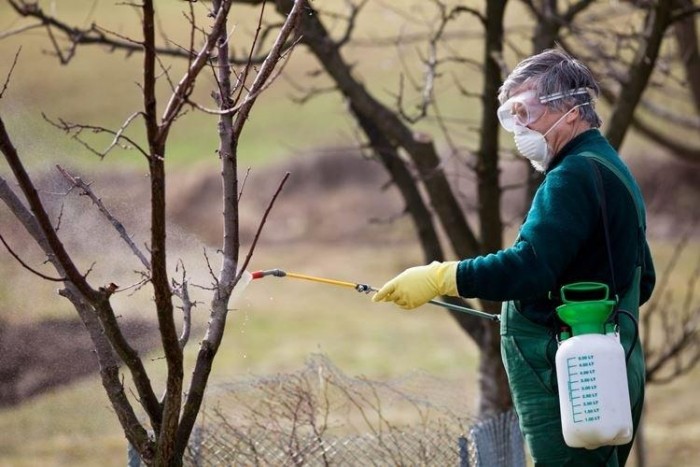 ส่วนผสมบอร์โดซ์