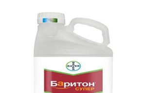 คำแนะนำในการใช้น้ำสลัดเมล็ดบาริตันซุปเปอร์และส่วนประกอบ