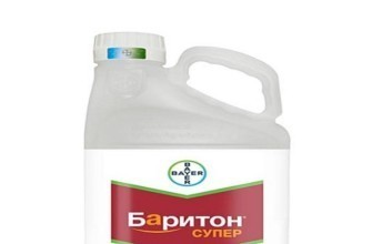 บาริโทน ซุปเปอร์ ดิสอินแฟนท์