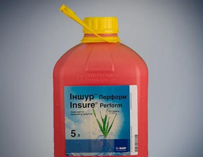 ประกันภัย