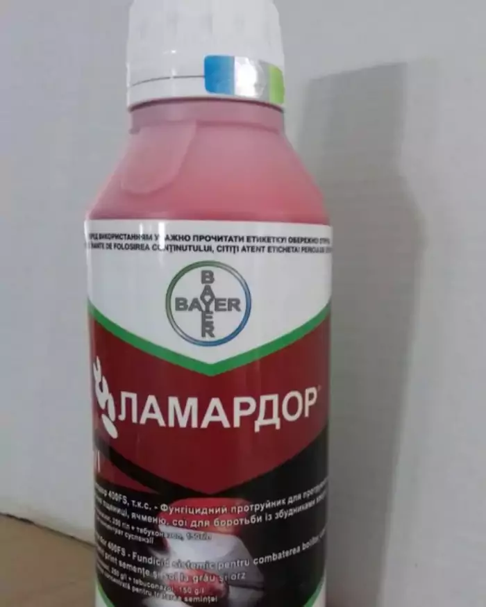 Pansement aux graines de Lamador