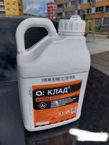 Mode d'emploi du traitement des semences Klad, composition du fongicide et de ses analogues