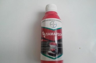 น้ำสลัดเมล็ดลามาดอร์