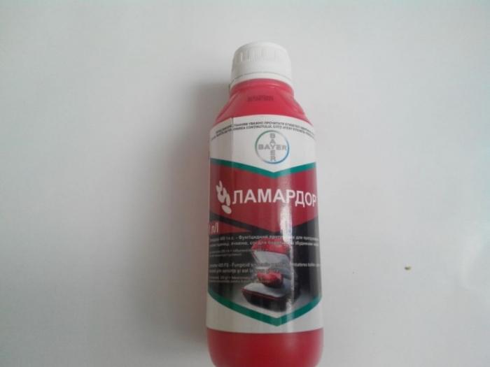 Pansement aux graines de Lamador