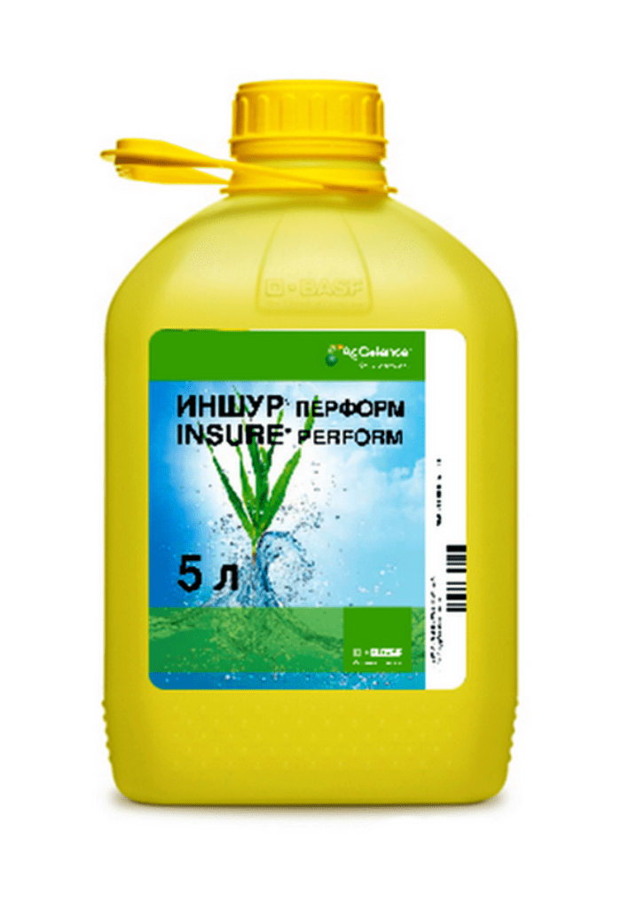 ประกันภัย