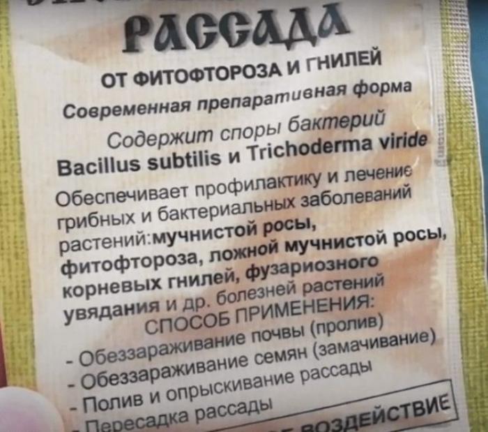 สปอโรแบคทีเรียนสำหรับพืช: คำแนะนำในการใช้