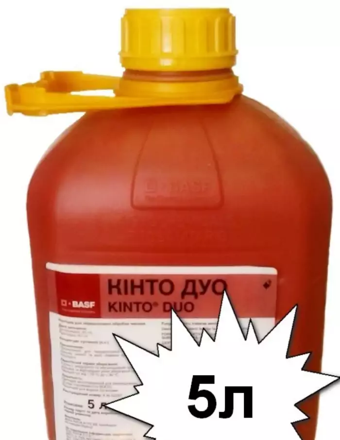 คินโตดูโอ